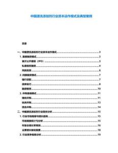 中國漂洗添加劑行業資本運作模式及典型案例