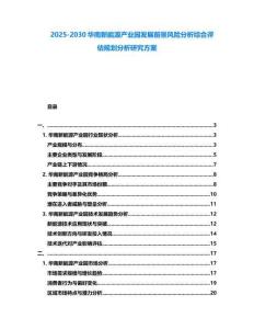 2025-2030华南新能源产业园发展前景风险分析综合评估规划分析研究方案