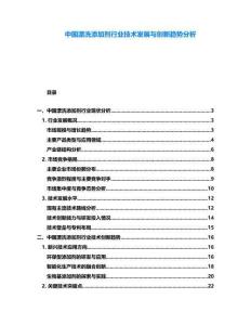 中國漂洗添加劑行業技術發展與創新趨勢分析