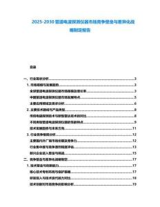 2025-2030管道電波探測儀器市場競爭壁壘與差異化戰略制定報告