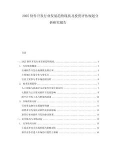 2025軟件開發行業發展趨勢現狀及投資評估規劃分析研究報告