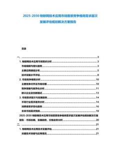 2025-2030物联网技术应用市场前景竞争格局需求层次发展评估规划解决方案报告