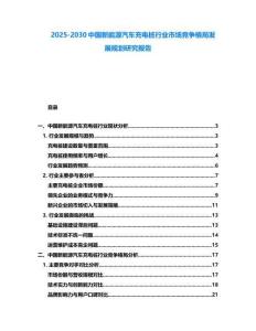 2025-2030中国新能源汽车充电桩行业市场竞争格局发展规划研究报告