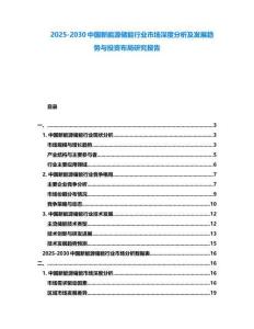 2025-2030中国新能源储能行业市场深度分析及发展趋势与投资布局研究报告