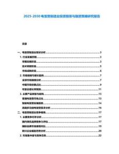 2025-2030电饭煲制造业投资前景与融资策略研究报告