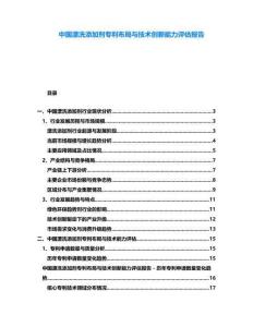 中國(guó)漂洗添加劑專利布局與技術(shù)創(chuàng)新能力評(píng)估報(bào)告
