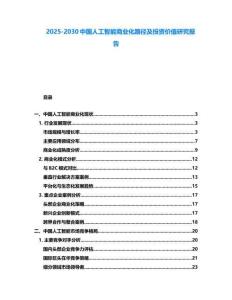 2025-2030中國人工智能商業(yè)化路徑及投資價值研究報告