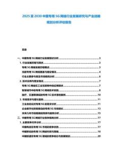 2025至2030中國專用5G網(wǎng)絡(luò)行業(yè)發(fā)展研究與產(chǎn)業(yè)戰(zhàn)略規(guī)劃分析評估報告