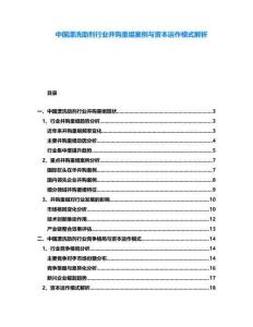 中國(guó)漂洗助劑行業(yè)并購(gòu)重組案例與資本運(yùn)作模式解析