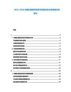 2025-2030中國(guó)私募股權(quán)投資市場(chǎng)現(xiàn)狀及未來發(fā)展方向探討