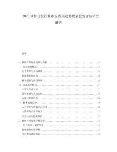 2025軟件開發行業市場發展趨勢規劃投資評估研究報告