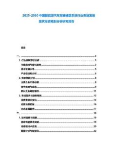 2025-2030中國新能源汽車駕駛輔助系統(tǒng)行業(yè)市場發(fā)展現(xiàn)狀投資規(guī)劃分析研究報告