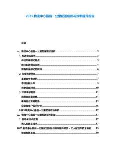 2025物流中心最后一公里配送創新與效率提升報告