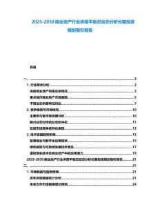 2025-2030商業地產行業供需平衡態動態分析長期投資規劃指引報告