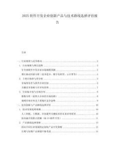 2025軟件開發企業創新產品與技術路線選擇評估報告