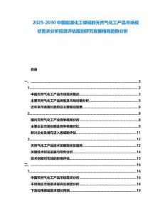 2025-2030中國能源化工領域的天然氣化工產品市場現狀需求分析投資評估規劃研究發展格局趨勢分析
