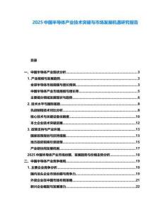 2025中國半導體產業技術突破與市場發展機遇研究報告