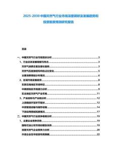 2025-2030中國天然氣行業市場深度調研及發展趨勢和投資前景預測研究報告