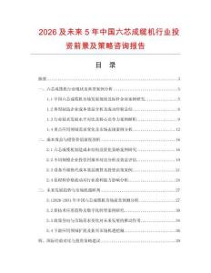 2026及未來5年中國六芯成纜機行業投資前景及策略咨詢報告