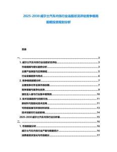 2025-2030威爾士汽車內飾行業當前狀況評估競爭格局前瞻投資規劃分析