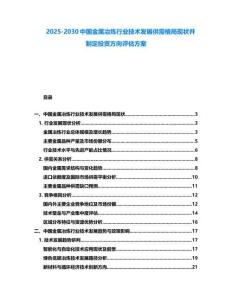 2025-2030中国金属冶炼行业技术发展供需格局现状并制定投资方向评估方案