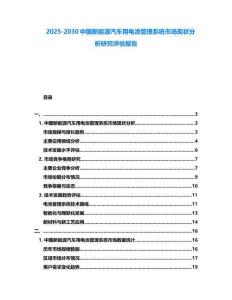 2025-2030中国新能源汽车用电池管理系统市场现状分析研究评估报告