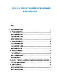 2025-2030宁夏光伏产业市场深度分析及未来清洁能源与投资方向研究报告