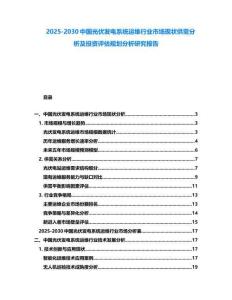 2025-2030中國(guó)光伏發(fā)電系統(tǒng)運(yùn)維行業(yè)市場(chǎng)現(xiàn)狀供需分析及投資評(píng)估規(guī)劃分析研究報(bào)告