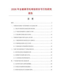 2026年全碳素羽毛球拍項(xiàng)目可行性研究報(bào)告