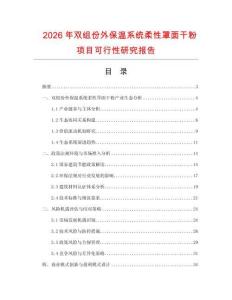 2026年雙組份外保溫系統(tǒng)柔性罩面干粉項(xiàng)目可行性研究報(bào)告