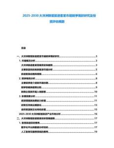 2025-2030大洋洲聯(lián)盟旅遊產(chǎn)業(yè)市場競爭現(xiàn)狀研究及投資評估規(guī)劃