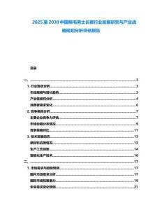 2025至2030中國棉毛男士長褲行業發展研究與產業戰略規劃分析評估報告