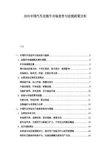 2025中国汽车改装车市场竞争与法规政策分析