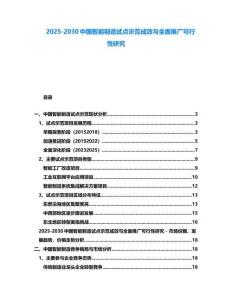 2025-2030中國智能制造試點示范成效與全面推廣可行性研究