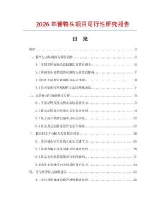 2026年醬鴨頭項目可行性研究報告