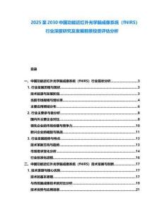 2025至2030中國功能近紅外光學腦成像系統(tǒng)（fNIRS）行業(yè)深度研究及發(fā)展前景投資評估分析