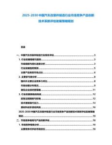 2025-2030中国汽车改装件制造行业市场竞争产品创新技术革新评估发展策略规划