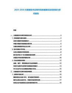 2025-2030大數據技術應用市場發展路徑及投資潛力研究報告