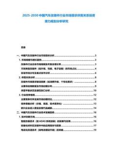 2025-2030中国汽车改装件行业市场现状供需关系投资潜力规划分析研究