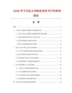 2026年子式拉力試驗(yàn)機(jī)項(xiàng)目可行性研究報(bào)告