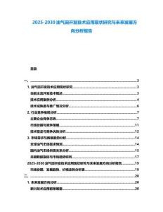 2025-2030油氣田開(kāi)發(fā)技術(shù)應(yīng)用現(xiàn)狀研究與未來(lái)發(fā)展方向分析報(bào)告
