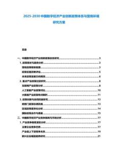 2025-2030中國數字經濟產業創新政策體系與營商環境研究方案