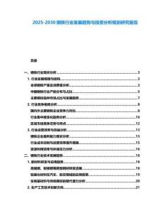 2025-2030鋼鐵行業(yè)發(fā)展趨勢與投資分析規(guī)劃研究報告