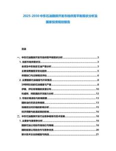 2025-2030中東石油勘探開(kāi)發(fā)市場(chǎng)供需平衡現(xiàn)狀分析及國(guó)家投資規(guī)劃報(bào)告