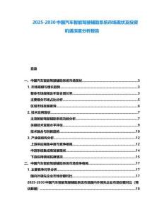 2025-2030中國汽車智能駕駛輔助系統市場現狀及投資機遇深度分析報告