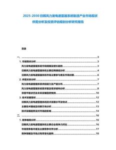2025-2030日韓風力發電避雷器系統制造產業市場現狀供需分析及投資評估規劃分析研究報告