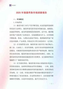 2025年鎳基焊條市場調(diào)查報告