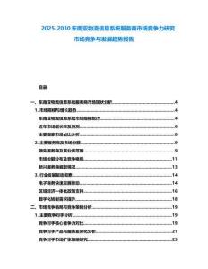 2025-2030東南亞物流信息系統(tǒng)服務商市場競爭力研究市場競爭與發(fā)展趨勢報告