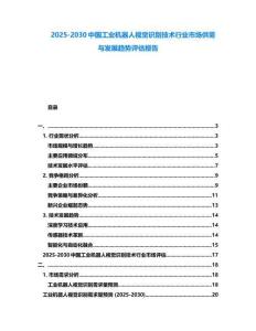 2025-2030中國(guó)工業(yè)機(jī)器人視覺識(shí)別技術(shù)行業(yè)市場(chǎng)供需與發(fā)展趨勢(shì)評(píng)估報(bào)告