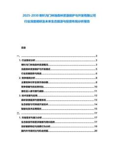 2025-2030喇叭溝門林場森林資源保護與開發有限公司行業深度調研及未來生態旅游與投資布局分析報告
